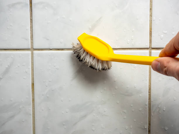 Best Toxic Mold Removal  in Green Cove Springs, FL