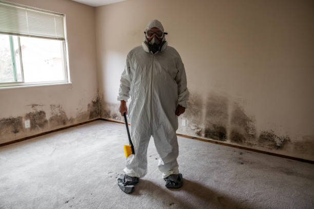 Best Commercial Mold Removal  in Green Cove Springs, FL